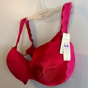 Lane Bryant Cacique Fuchsia Lace Accent Bra